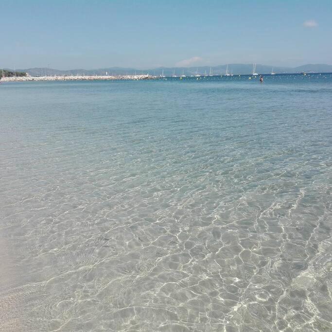Port Et Iles D'or. * Hyeres